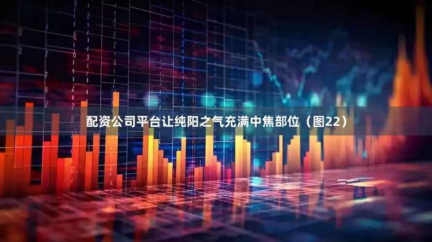 配资公司平台让纯阳之气充满中焦部位（图22）