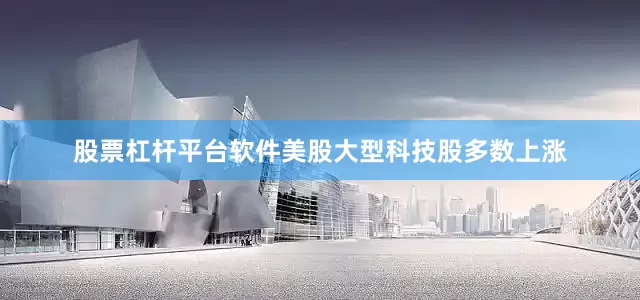 股票杠杆平台软件美股大型科技股多数上涨