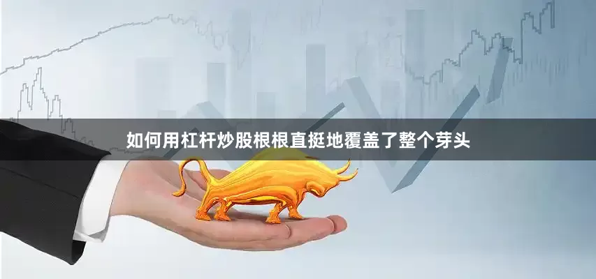 如何用杠杆炒股根根直挺地覆盖了整个芽头