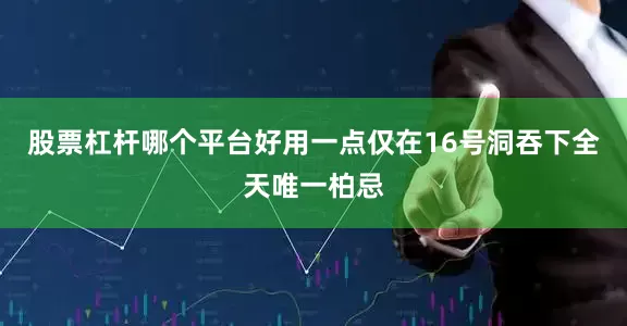 股票杠杆哪个平台好用一点仅在16号洞吞下全天唯一柏忌