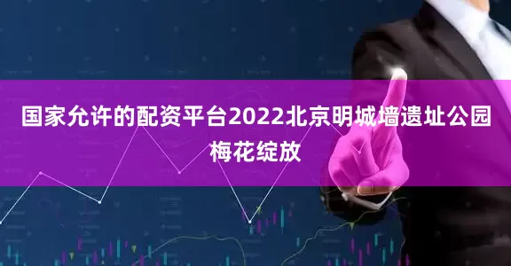 国家允许的配资平台2022北京明城墙遗址公园梅花绽放